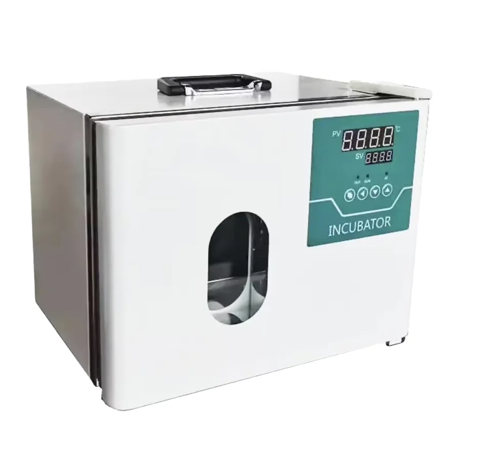 Constant temperature 220V portable mini incubator, observation window 9L/12L capacity, maximum temperature 5-65 ℃