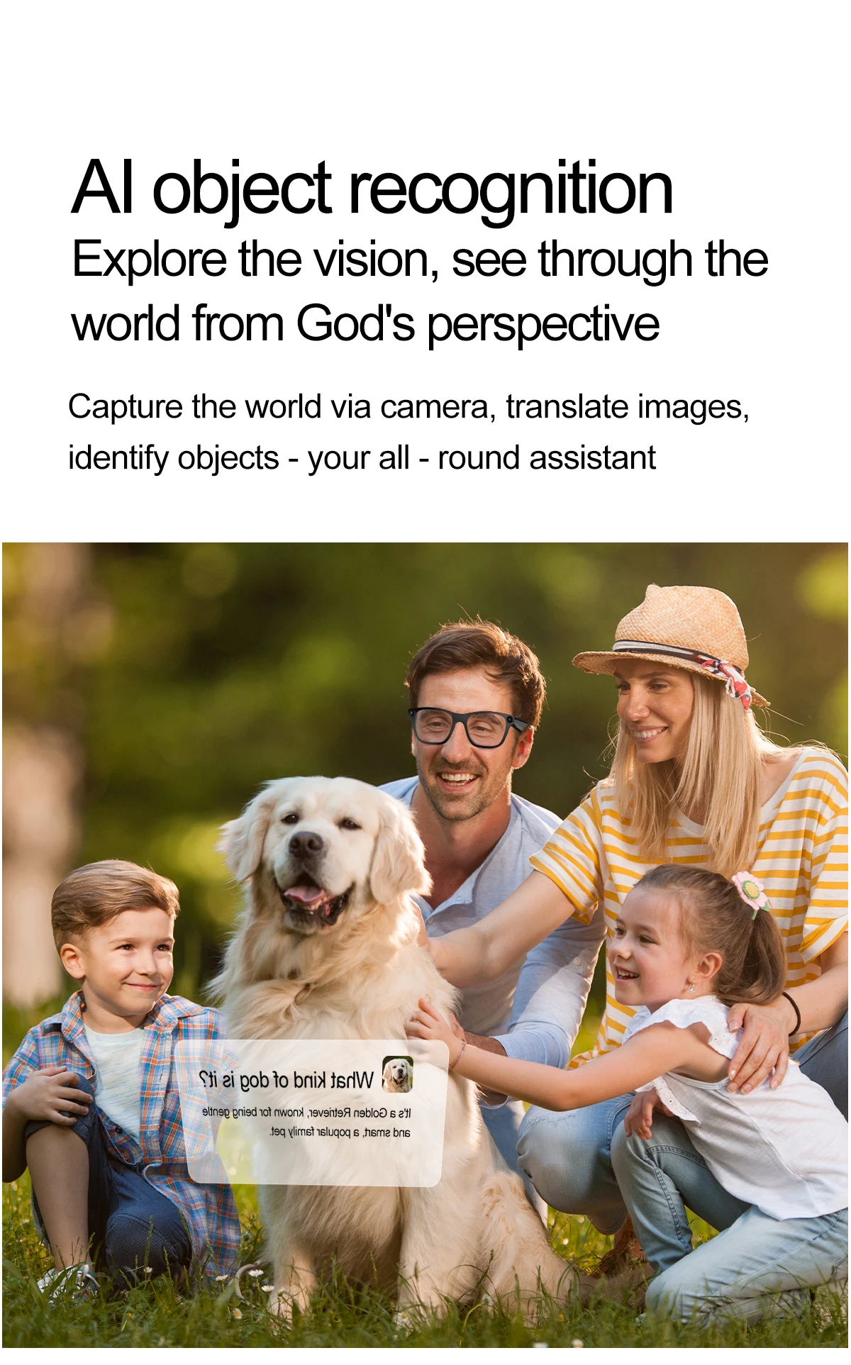AI Smart Glasses Built-in AI 20MP Camera Translation Voice Control WiFi 4.0 Bluetooth 5.3 HD Video Shooting Intelligent Glasses