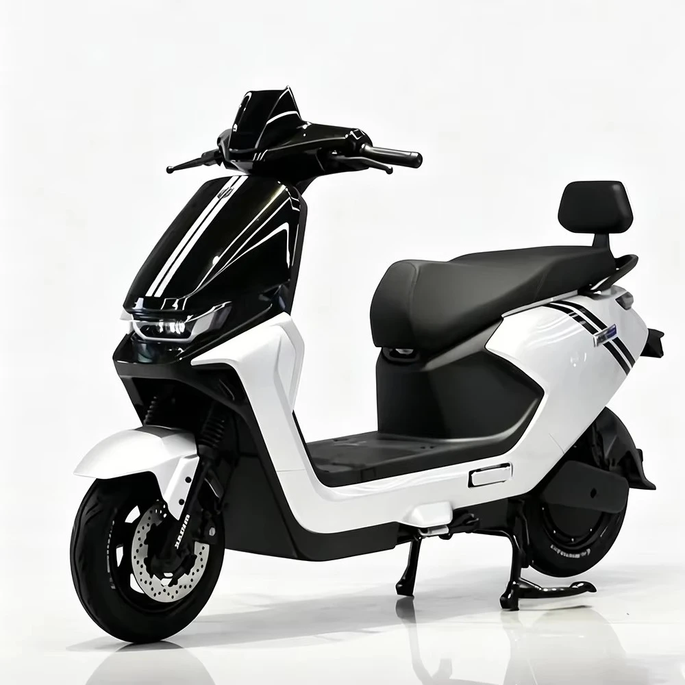bssHigh-speed electric motorcycle for adults: A powerful electric motorcycle with disc brakes