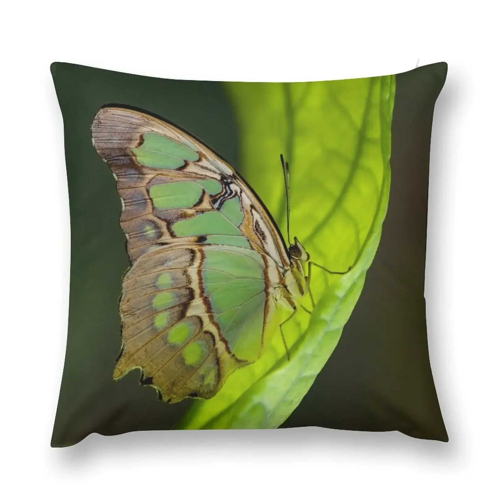 

Butterfly on a sail leaf Throw Pillow Decorative Cushion Cover Pillowcases Cushion Covers Sofa New year pillow