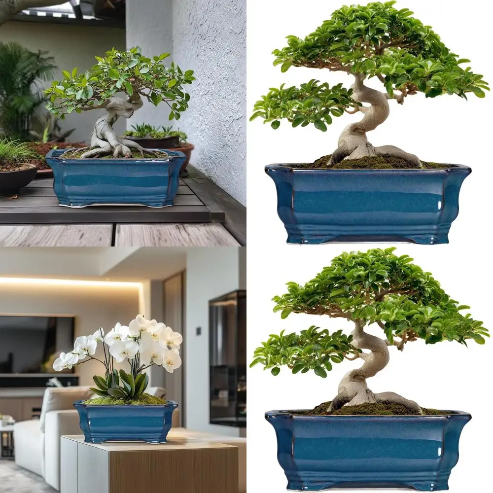 

13.7 Inch Large Blue Ceramic Succulent Planter with Drainage for Indoor or Outdoor Use, Decorative Pot for Home Décor and Plant
