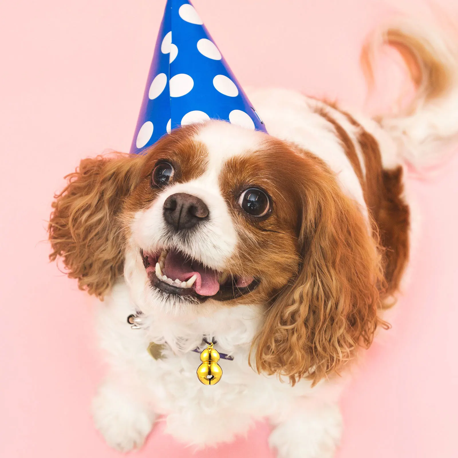 5 قطعة أجراس الحيوانات الأليفة على شكل قرع صغيرة خفيفة الوزن قلادة معلقة ثقب ل طوق الكلب القط شجرة عيد الميلاد الديكور صوت عال واضح #3