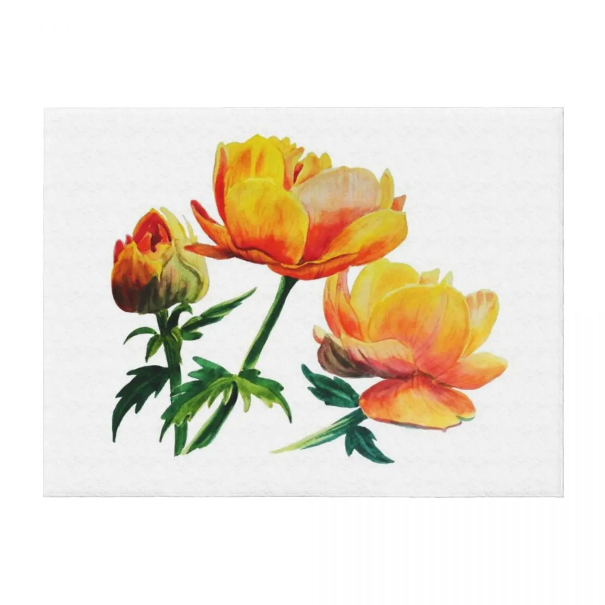 

Orange Flowers in Watercolor Throw Blanket Travel valentine gift ideas Furry Thins Blankets