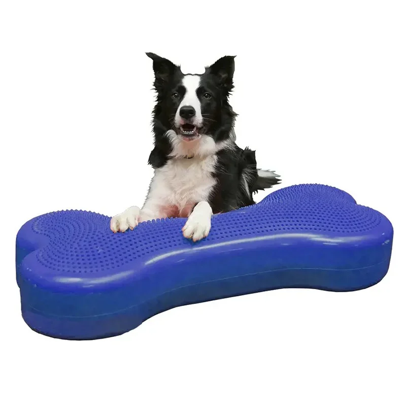 Dogs Training Aids Behavior Treat Fitness Balance Puppy Muscle Movement Agility Pet Dog Toy Accessories Rehabilitation Supplies