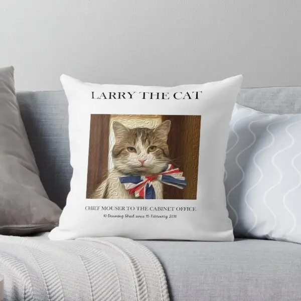 Larry The Cat Funny Gift  Printing Throw Pillow Cover Cushion Decor Office Waist Hotel Anime Pillows not include One Side