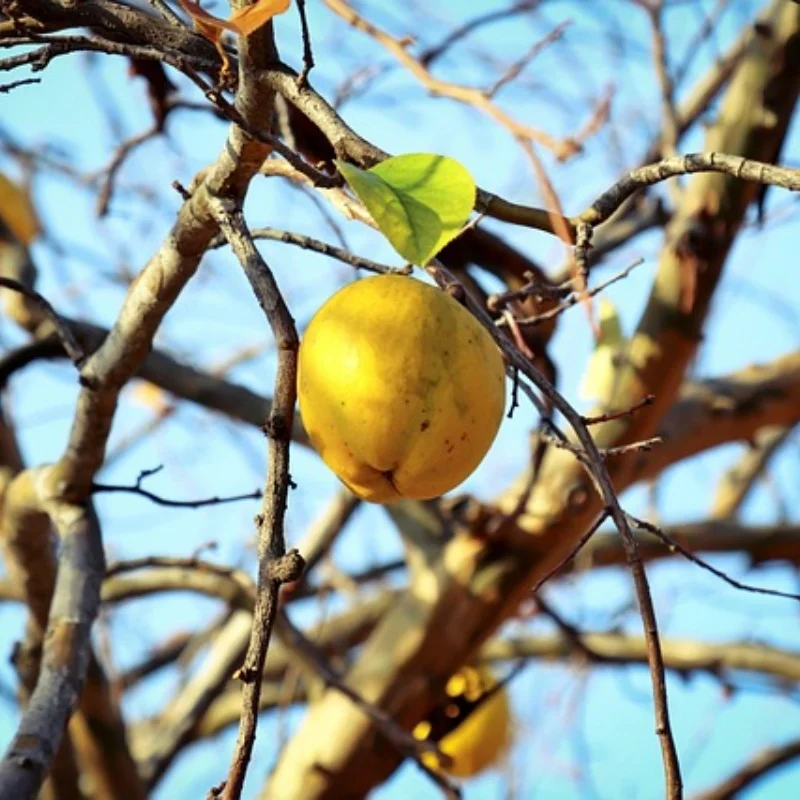 

4pcs 57mm 1.0" Metal Beadlock Wheel Tire Set For 1/18 1/24 RC Crawler Car TRXS 4M SCX24 AX24 FCX24 Upgrade Parts Accessories