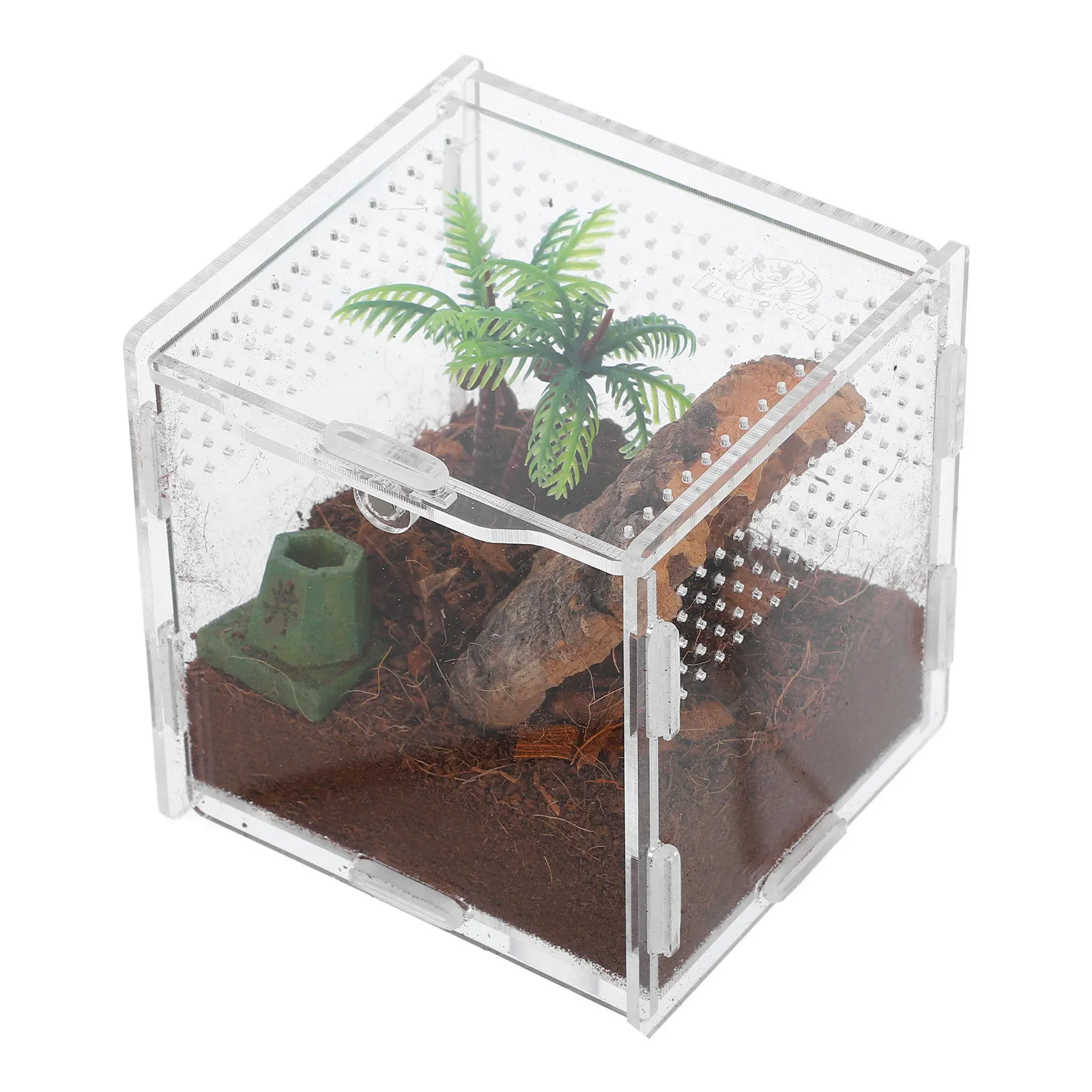 5 Stück Spinnenboxen für Haustiere, kompakt, transparent, ausbruchsicher, Sprungspinnen-Habitat, Terrarium für Frösche und Reptilien
