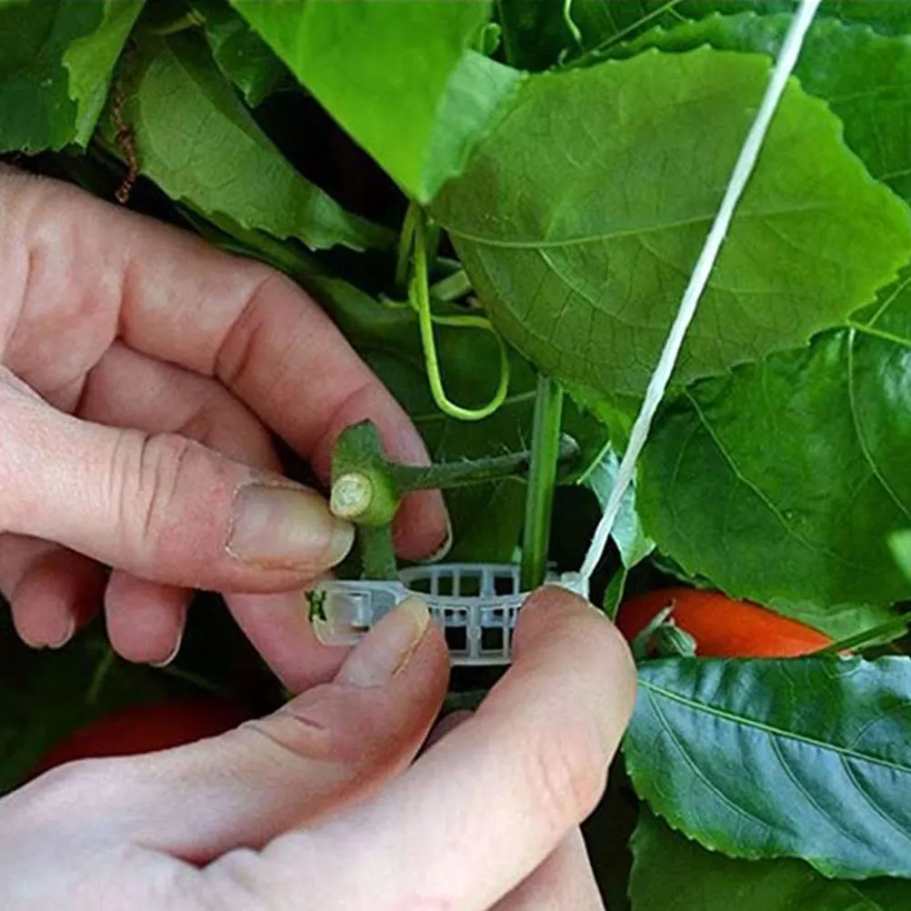 

2 set Tomato Cucumber Hanging Hooks 10M Twine Support Clips Plant Vine J Hooks Weather Resistant Gardening Tools Trellis System