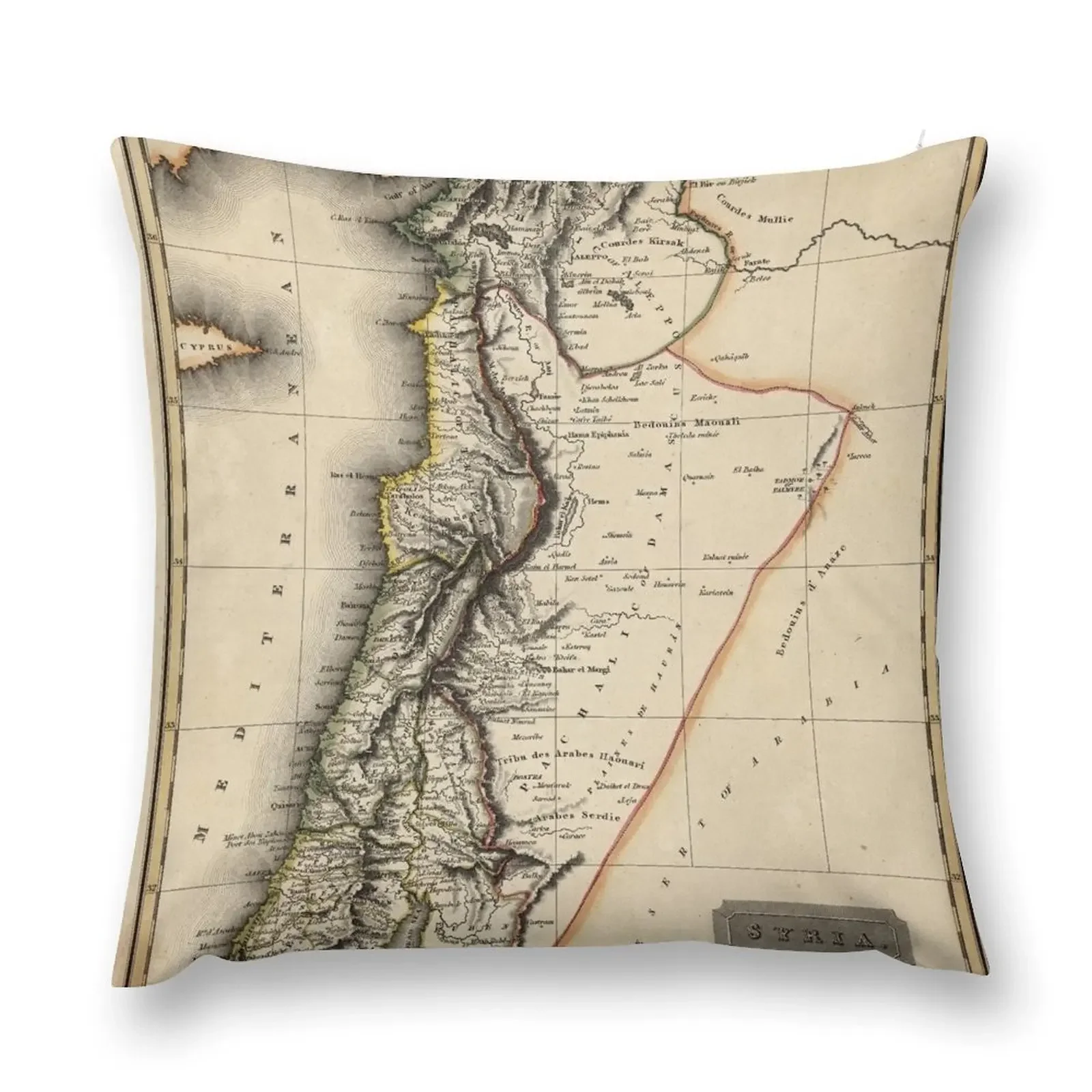 Map of Syria 1817 Throw Pillow Christmas Pillow Cushions For Sofa pillow