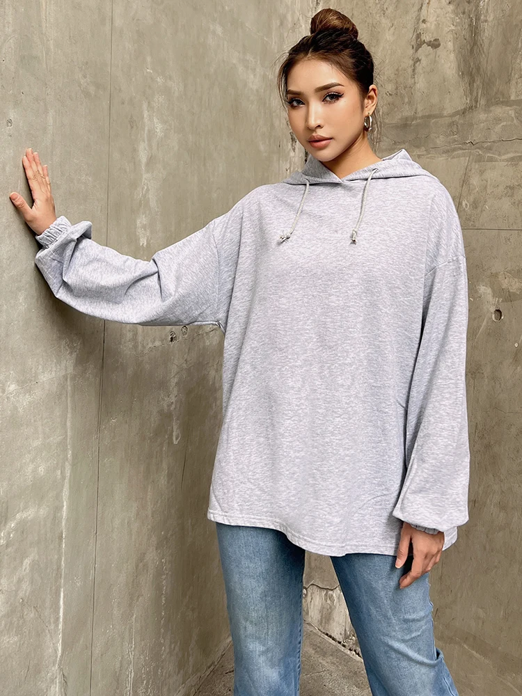 TWOTWINSTYLE Solid Loose Sweatshirt For Women Hooded Collar Long Sleeve Solid Minimalist Sweatshirts Female Autumn Clothing New