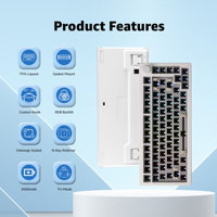 Akko 5075B VIA Kit 75% RGB 3/5 Pins Hot Swap Wired/2.4G/BT 5.0 Wireless Custom Mechanical Gaming Keyboard Kit with Knob Gasket