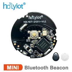 Holyiot長距離ビーコンタグ、Bluetoothモジュール、屋内ポジショニング、プログラム可能なトレーク、ビーコンセンサー、5.0、nrf52810