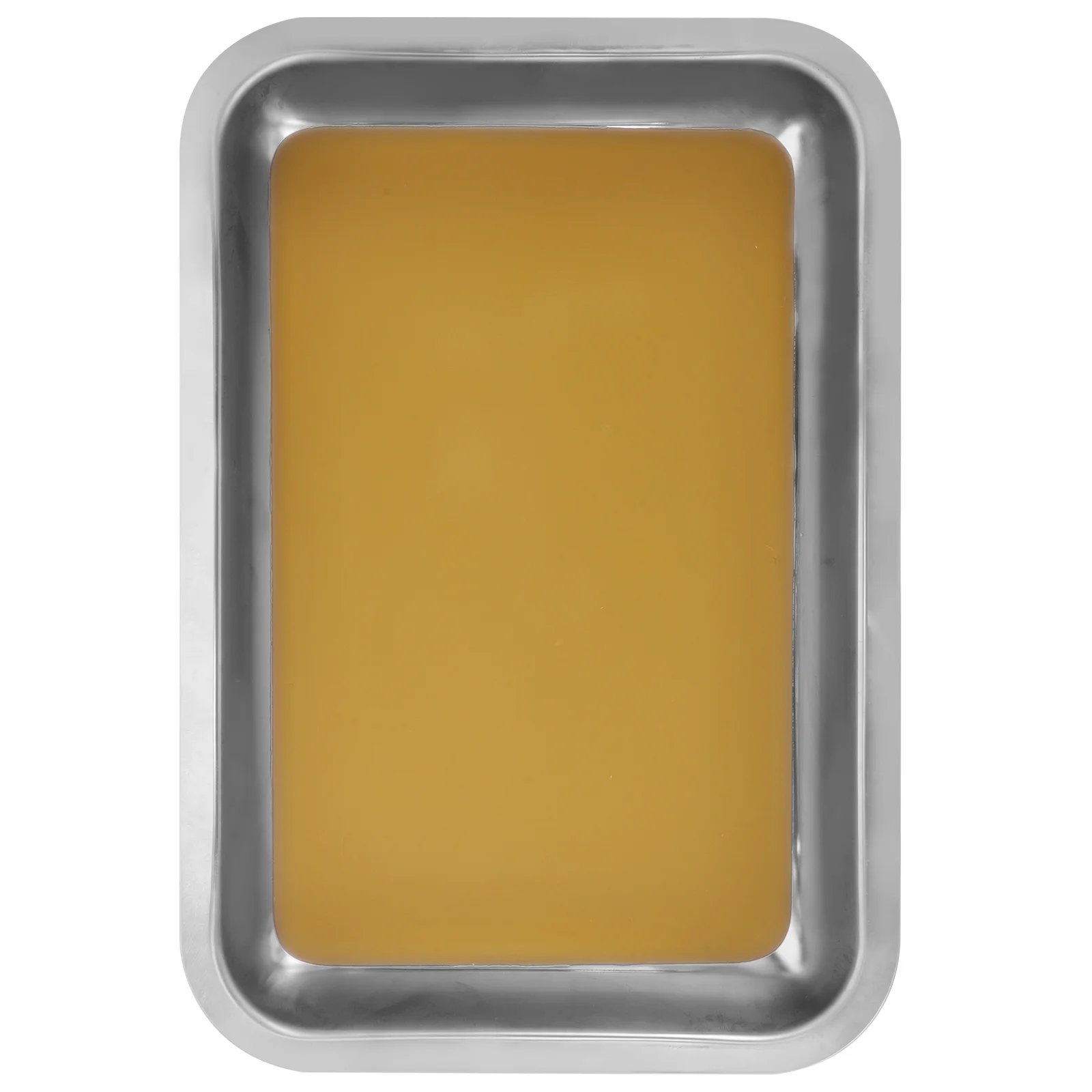 Stainless Steel Dissection Tray Anatomy Plate Wax Dissecting Tray Biological Teaching Instrument Medical Science Lab Equipment