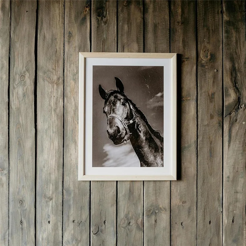 BMBY-写真用大型ユニバーサルフレームハンガー - ハンガー8個、大型粘着取り外し可能なストリップ24個付き - ダメージフリーフック