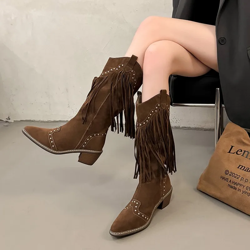 Women Vintage Western Mid Calf Boots Faux Suede Fringe Tassel Studs Pointed Toe Block Heel Non Slip Casual Fall Winter Shoes