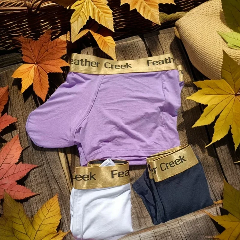 U-förmige Herren-Slips 2026, sexy Baumwoll-Stretch-Unterwäsche mit niedriger Taille, die den Po betont, atmungsaktiv und bequem – Detail 4