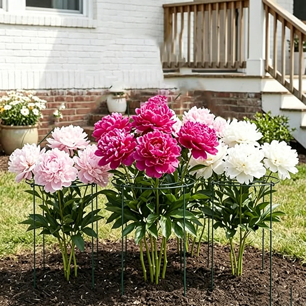 For Small Space Gardening Green Metal Plant Trellis Complete Set Of Trellises Plant Support Long Lasting Support