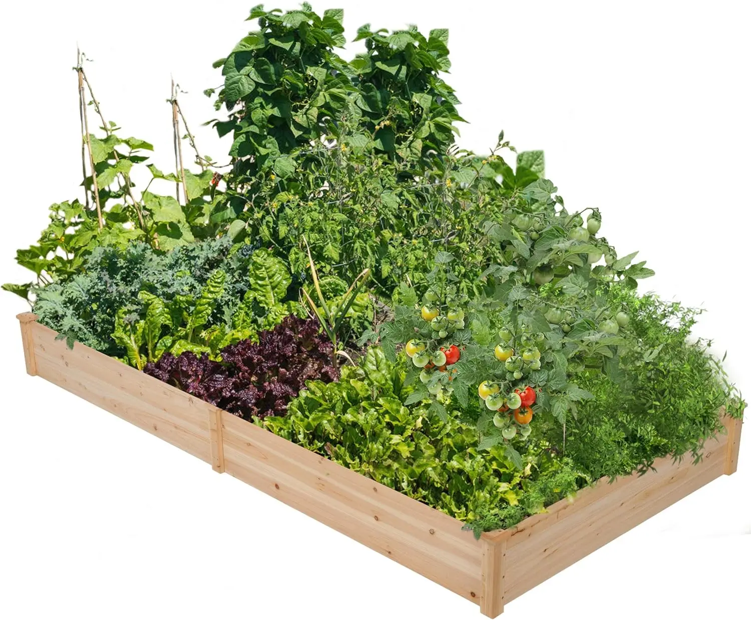 

Elevated garden bed can be divided into elevated planting boxes for flowers/vegetables/herbs in backyard/outdoor terrace