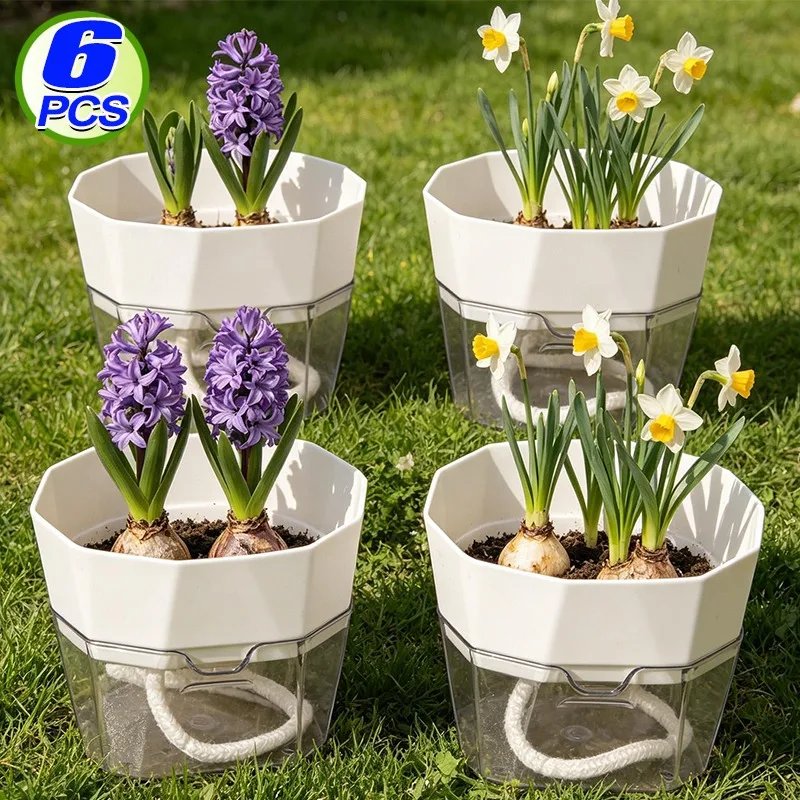 Maceta Hidropónica con Autorriego, Transparente, con Cuerda de Algodón, Florero Octagonal de PET para Jacintos y Tulipanes, Jardín Interior