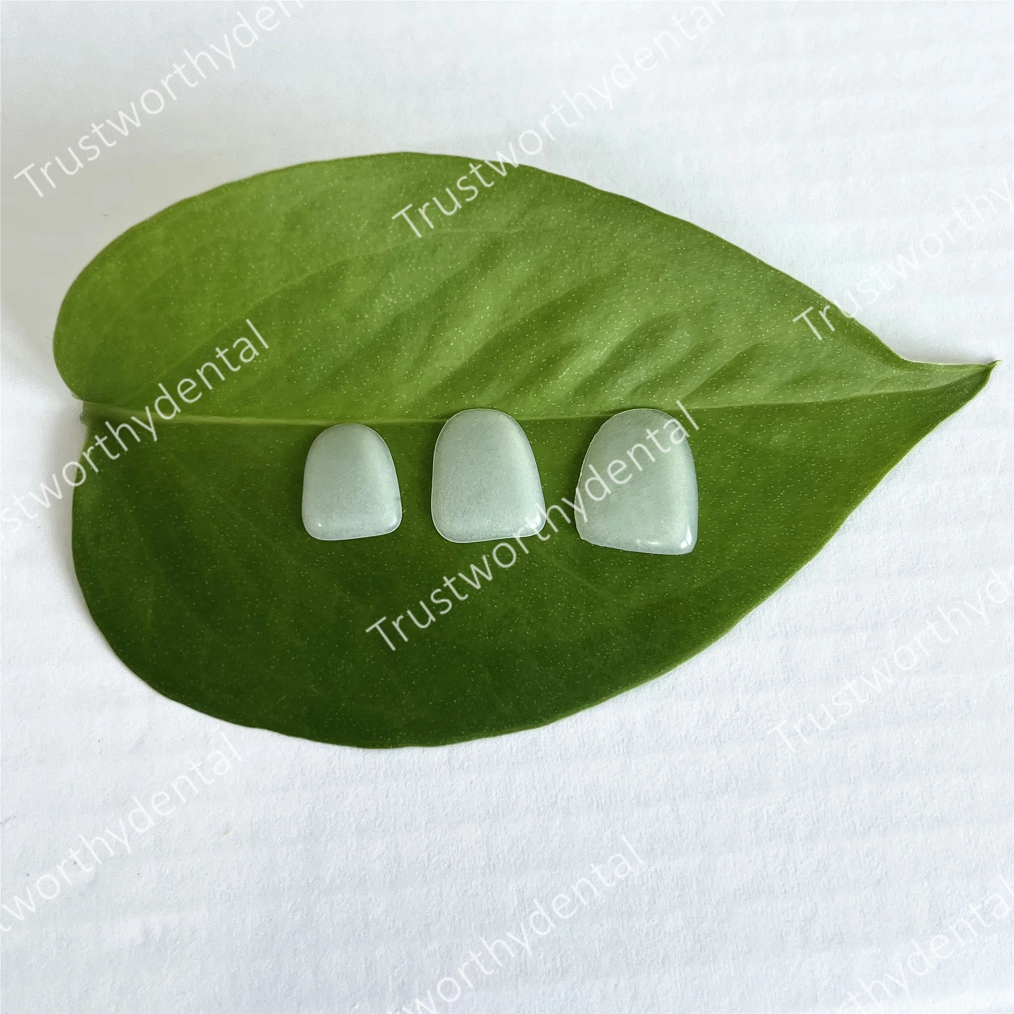 قشرة البورسلين المركبة للأسنان تبييض الأسنان الأمامية القشرة السفلية العلوية مواد ترميم طب الأسنان البيضاء الساطعة