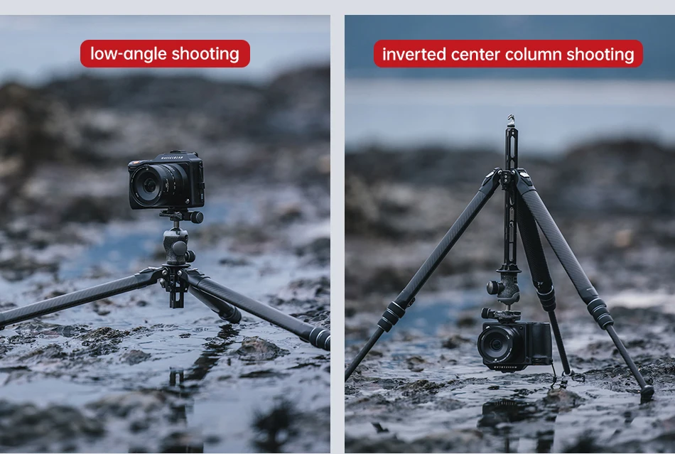 Ulanzi falcam treeroot Mittels äulen modul mit Gewinde oder f38 pro qr Trigger invertierter Kugelkopf für Treeroot Quick Lock Stativ – Detail 3