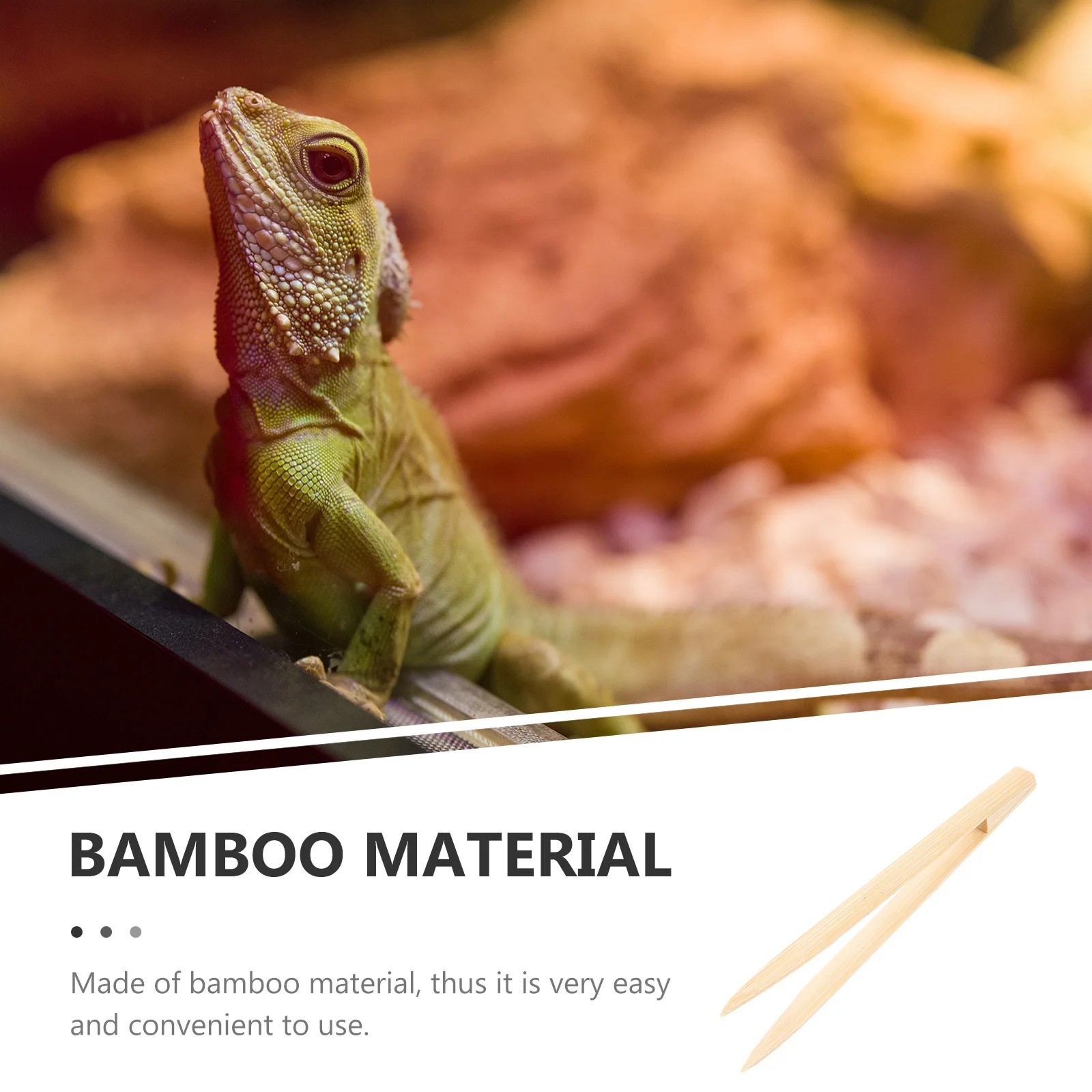 

Bamboo Feeding Tweezers Lightweight Reptile Food Clip For Terrarium Pets Anti-Static Crawling Pet Accessory Stainless