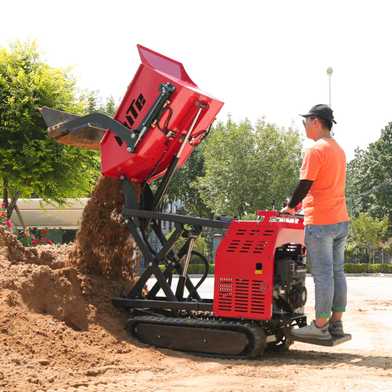 Autocaricante fuoristrada completamente idraulico Mini camion cingolato Dumper cingolato Dumper Briggs & Stratton motore a benzina personalizzabile