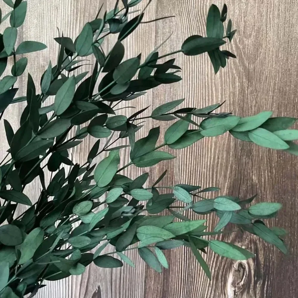 Natural Eucalyptus Leaves Dried Flowers Wedding Bouquet Boho Home Room Decor Hello Kitty Bouquet Big Plants Home Decoration