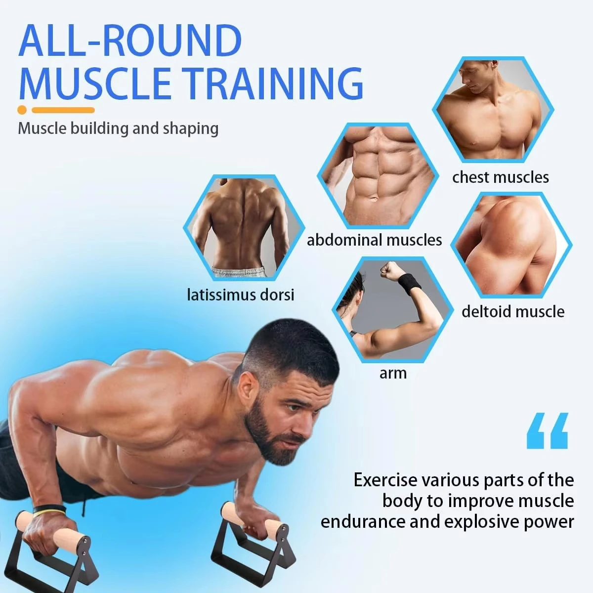 Home Gym Push‑Up Stand Solid M - Home Gym Body Solid 评论和价格