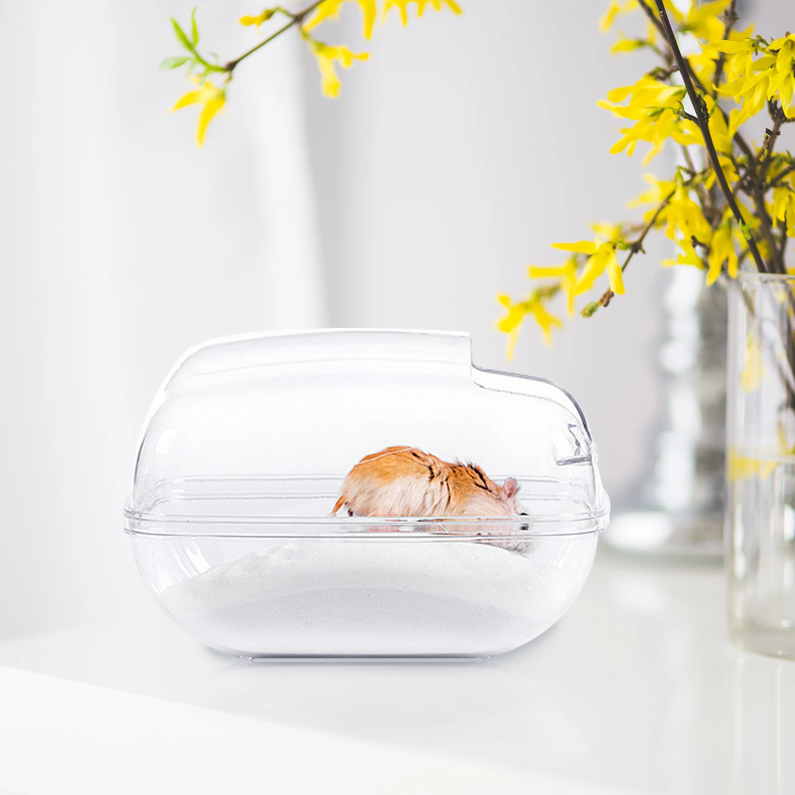 

Anti-Splashing Hamster Sand Bath Basin Transparent Plastic Small Pet Shower Bathtub For Chinchilla Cage Accessories Pet Supply
