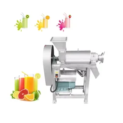 Stainless Steel Coconut Milk Screw Industrial Fruit Apple Watermelon Pineapple Juice Crusher Juicer Extractor Machine