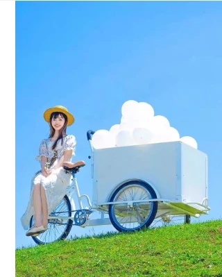 Véhicules commerciaux, vente