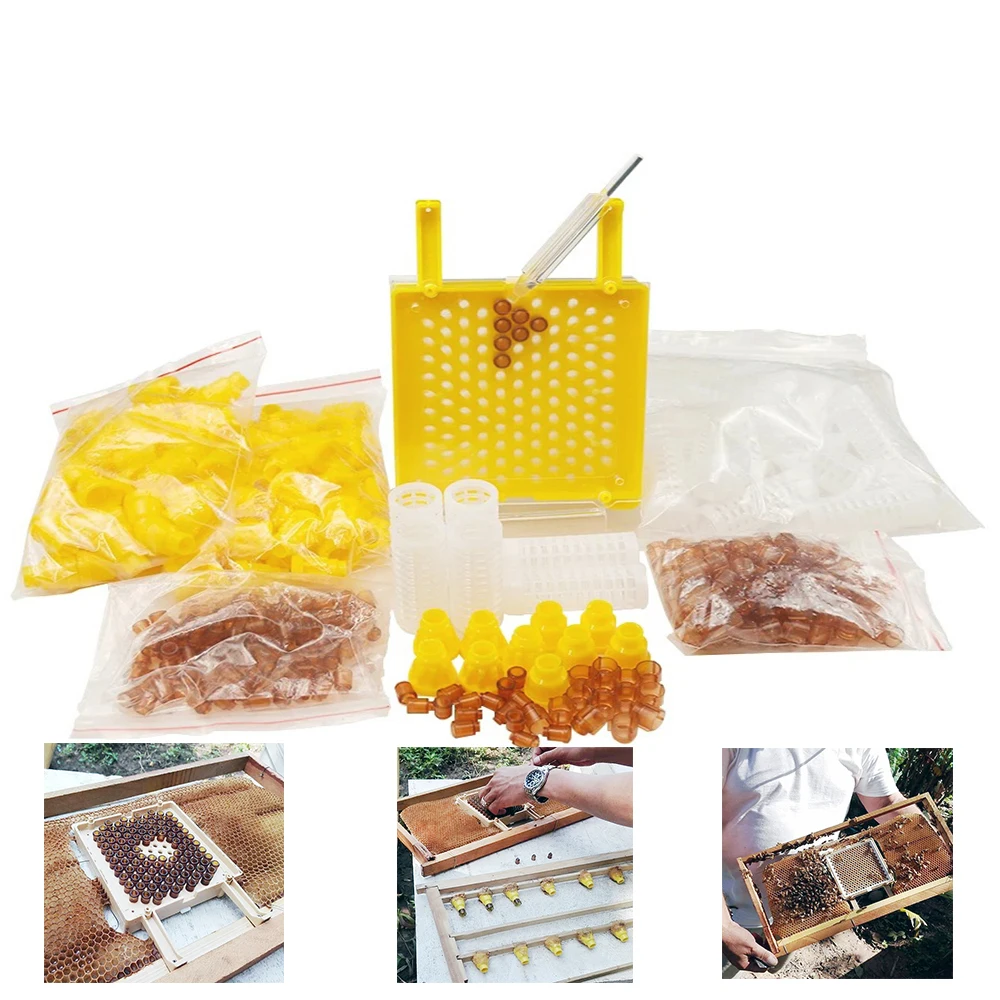 Jenter Queen Rearing Kit Nicot Cell Base Protection Cover Cage Raising Bee Larva Incubator Box Beekeeping Supplies High Accepted