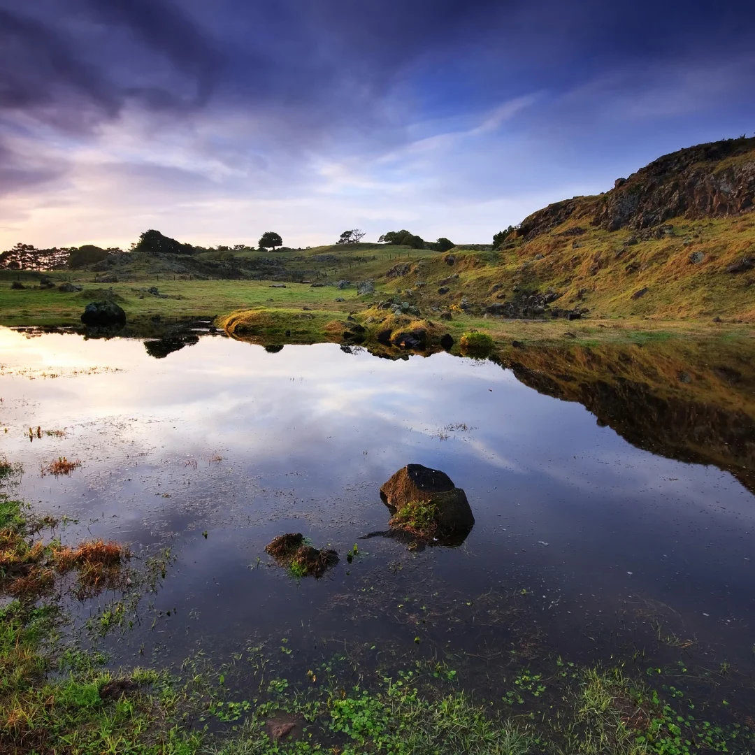 

Android 13 Car Radio For Volkswagen Caravelle 2014 2015-2019 CarPlay Touch Screen Multiedia Player GPS Navigation 4G WIFI DSP