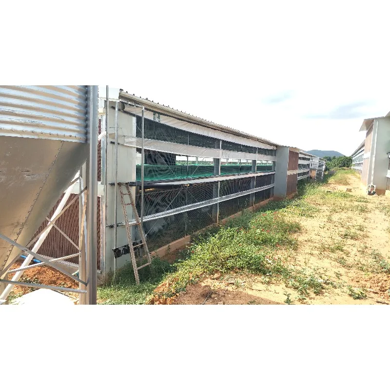 Automated Hen Cage Chicken Cages Rearing Broilers Broiler Cage Poultry Equipment Poultry Farm Equipment