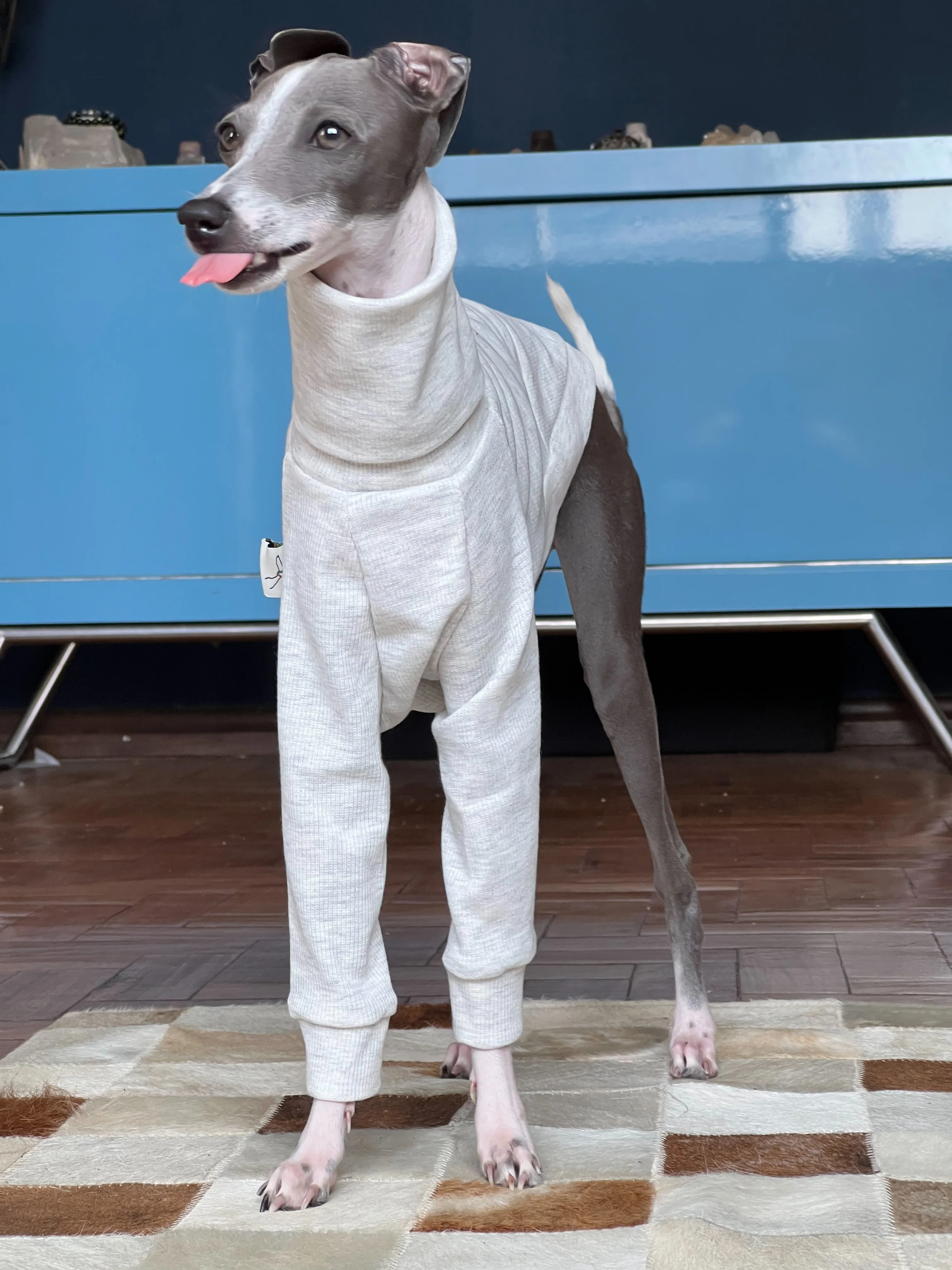 Whippet-ropa de cuello alto para mascotas, suave, gris, algodón, Galgo Italiano