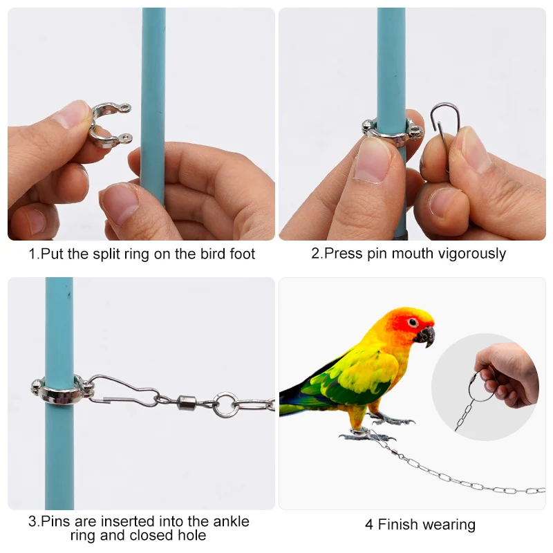 Stainless Steel Parrot Leg Ring with Chain Bird Ankle Foot Chain Ring Anti Bite Wire Rope Outdoor Flying Training Accessories view 4
