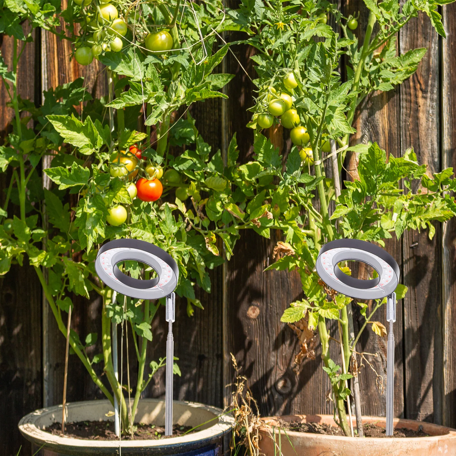 

Red Blue Light Full Grow Lights LED Plant Lamps Aluminum Suitable All Plants Stages Vegetables Potted Easy Install