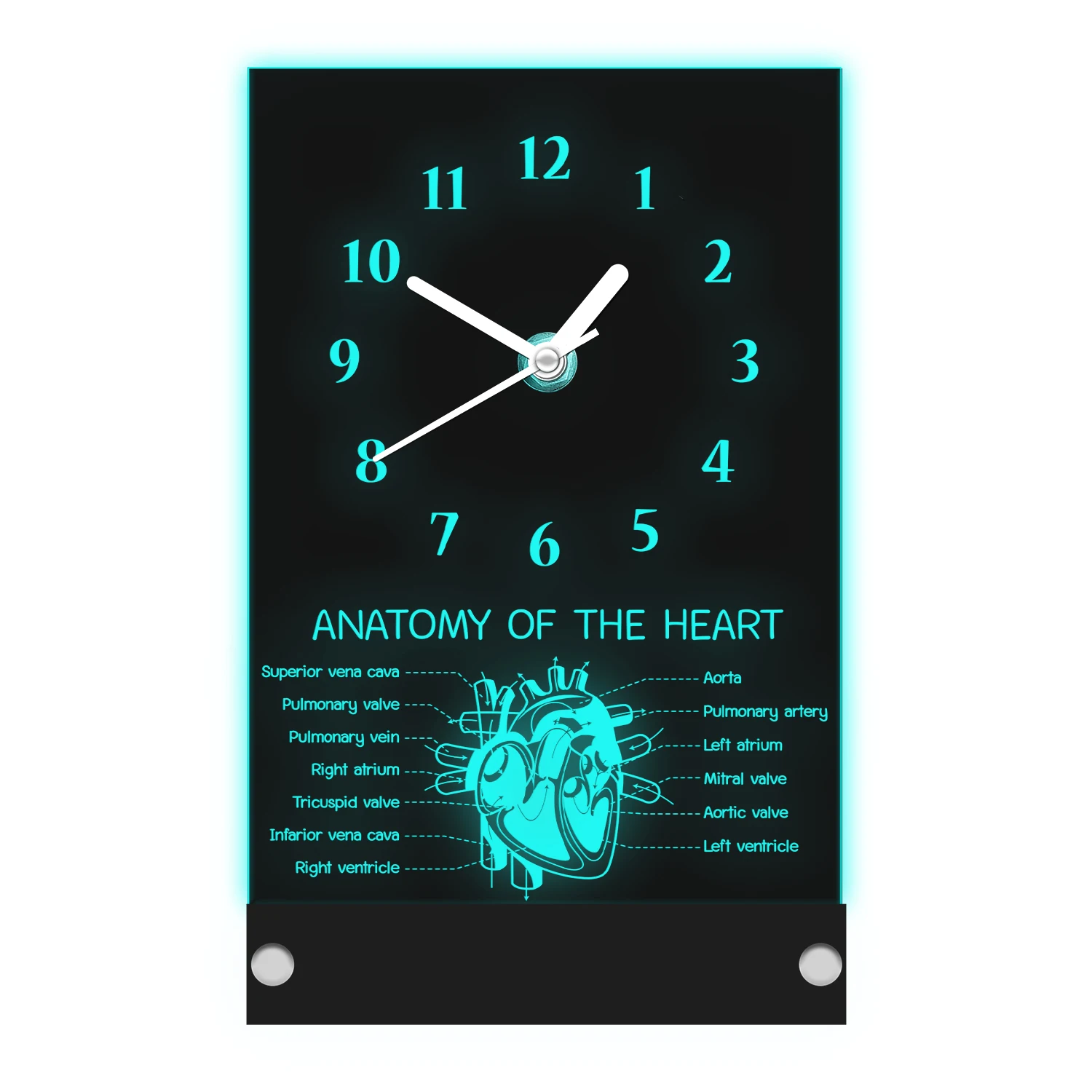 

Anatomy Of The Heart Table Clock With LED Backlight Hospital Clinic Decor Heart Cardiac Structure Desk Clock For Office Room