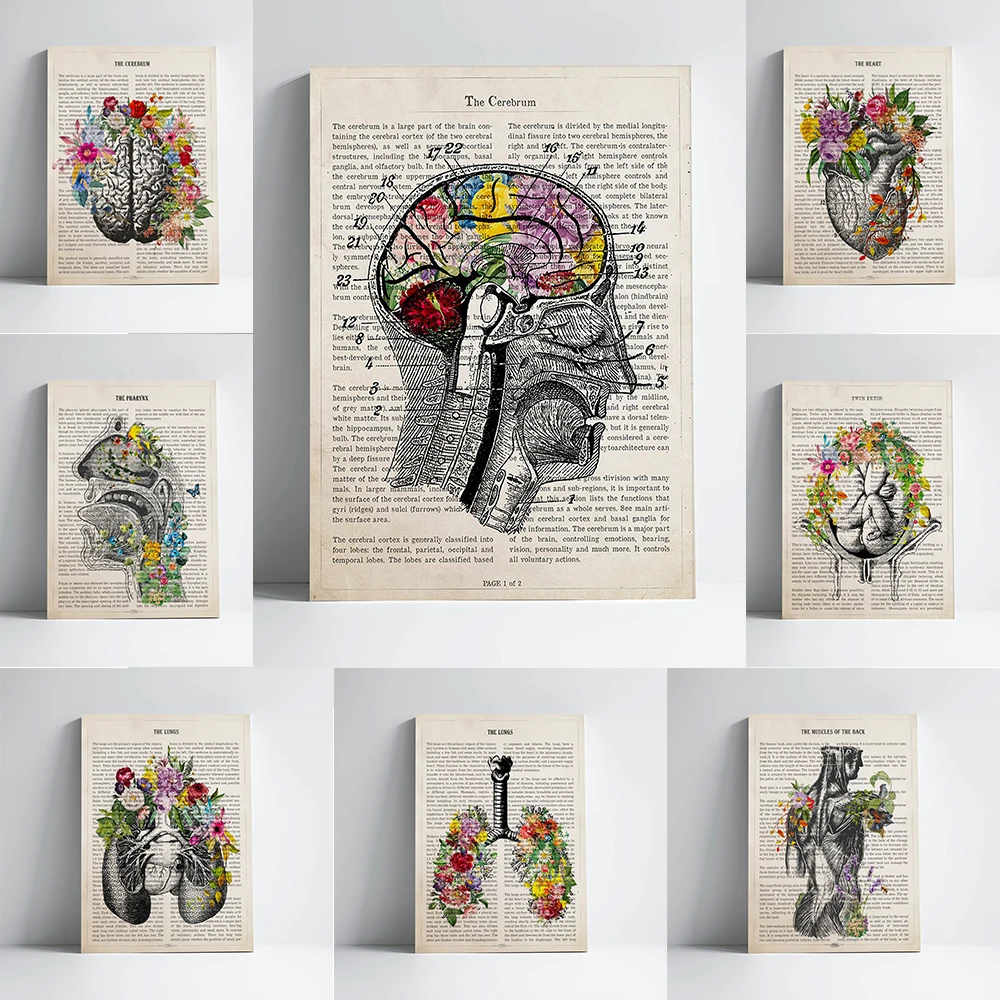 Pulmões flor anatomia impressão cartaz médico laringe anatomia impressão coração flor anatomia pintura em tela médico escritório escola decoração