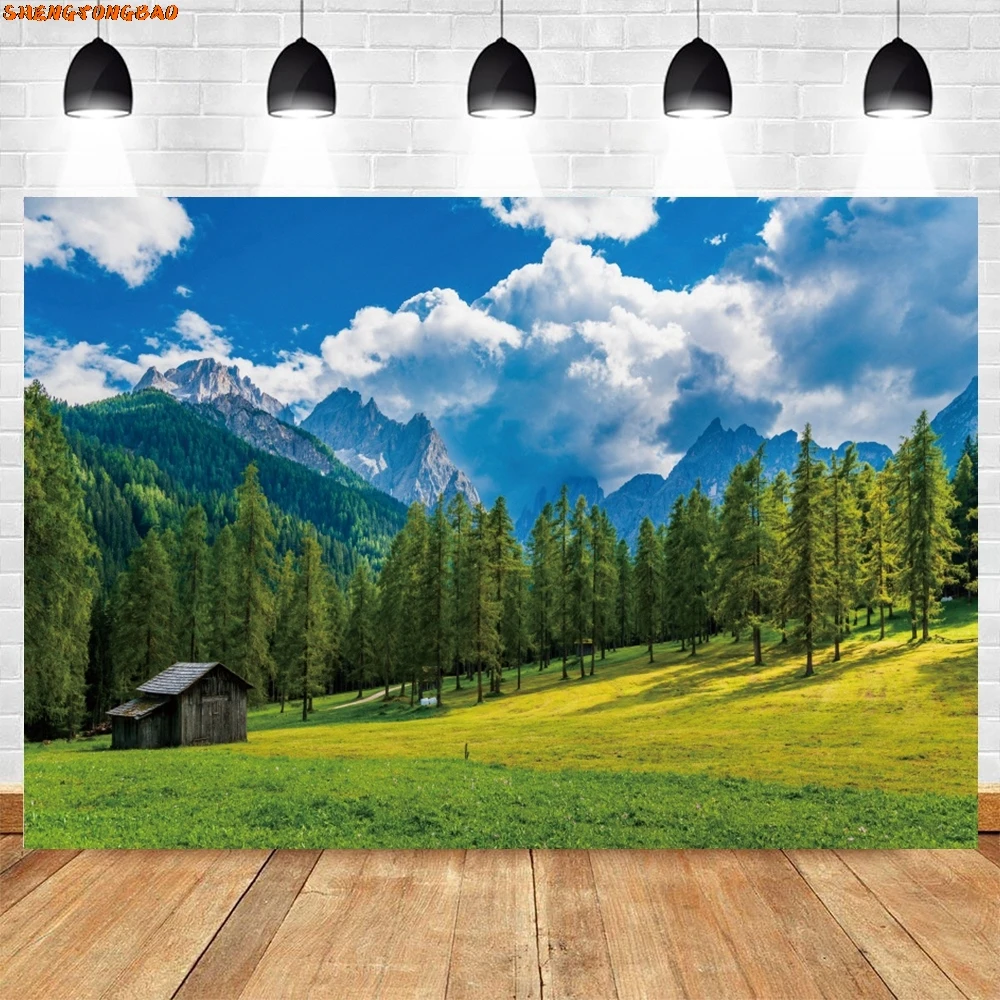 خلفية تصوير ربيعية، عشب الغابة الخضراء، السماء الزرقاء، المناظر الطبيعية الجبلية، ديكور العطلة، صورة خلفية الصورة