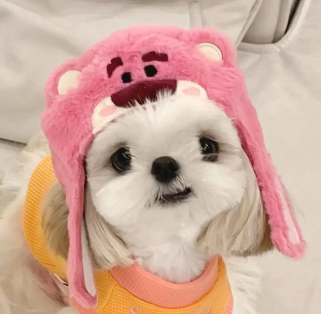 Disney Cartoon Peripheral Alien Lotso Creative Cute Plush Pet Cat and Puppy Mini Hat Doll Headgear for Autumn and Winter Outings