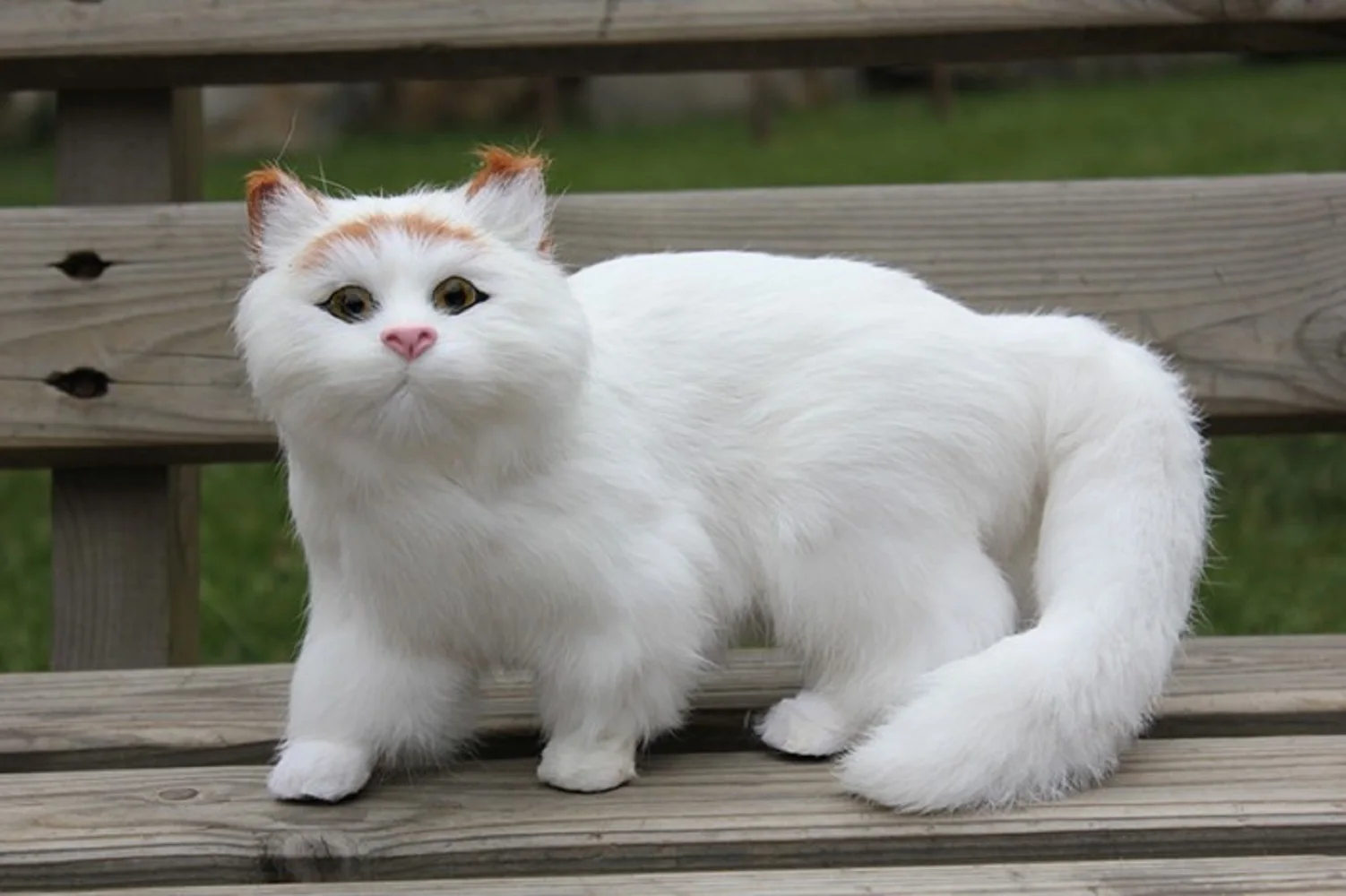 simulation cat white lifelike cat home decoration gift 32x15x20cm