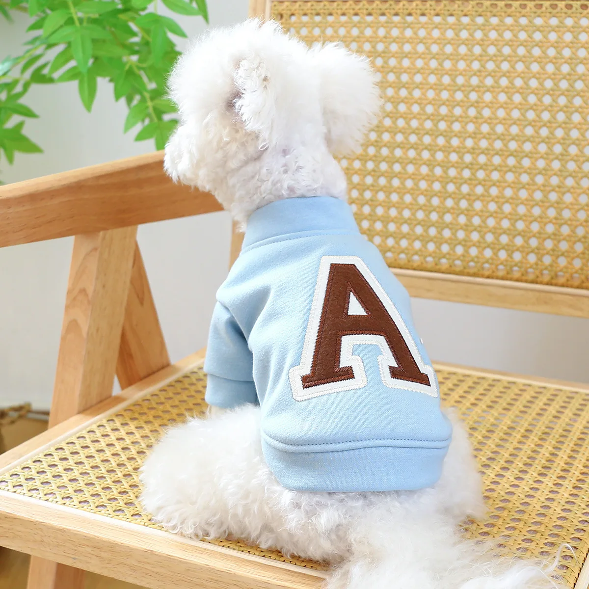 Clothes for Small Dogs Teddy than Bear Dog Clothes Autumn and Winter New Add Velvet Warm Warm Letter R Hoodie