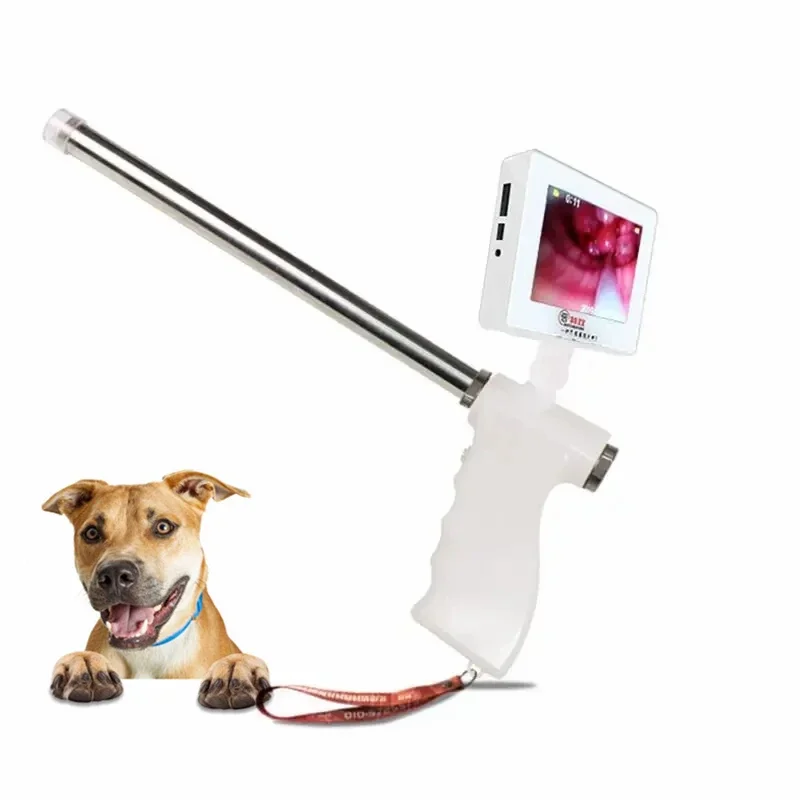 

Veterinary Canine Dog Pet Vet Clinic Hospital Digital Visual Artificial Insemination Gun