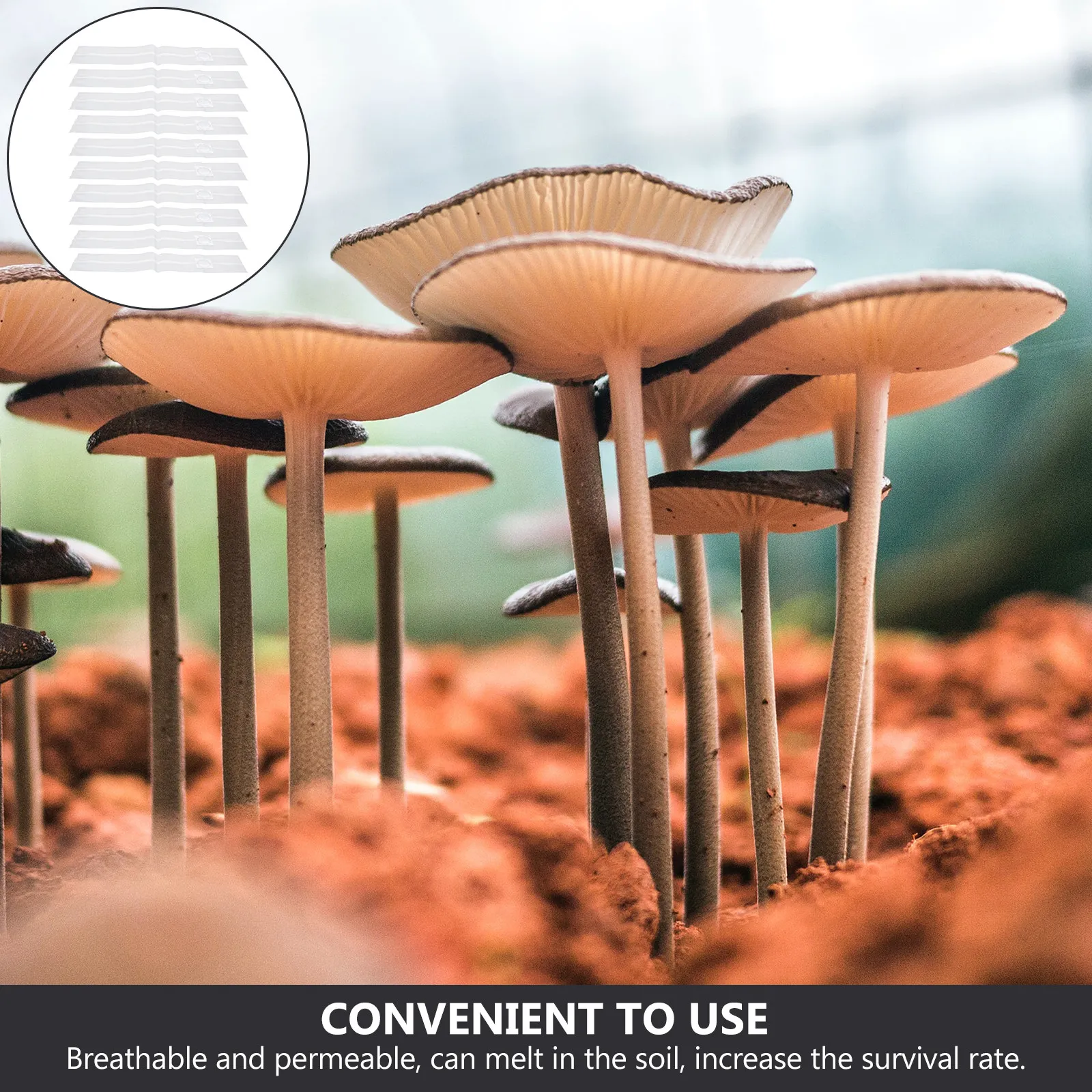 10Pcs Mushroom Cultivation Bags Breathable Sealable PP Plastic Grow Bags for Edible Fungi Shiitake Oyster Spawn Grain Substrate
