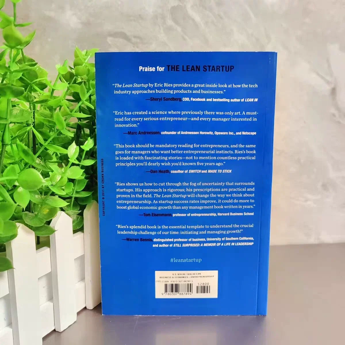 The Lean Startup: Mindset Growth - Livro Guia de Inglês para Novos Pensamentos Negócios e Estratégia de Eric Ries