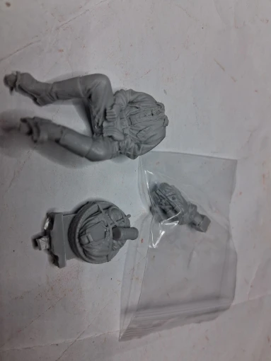 Buyer photo of this resin kit