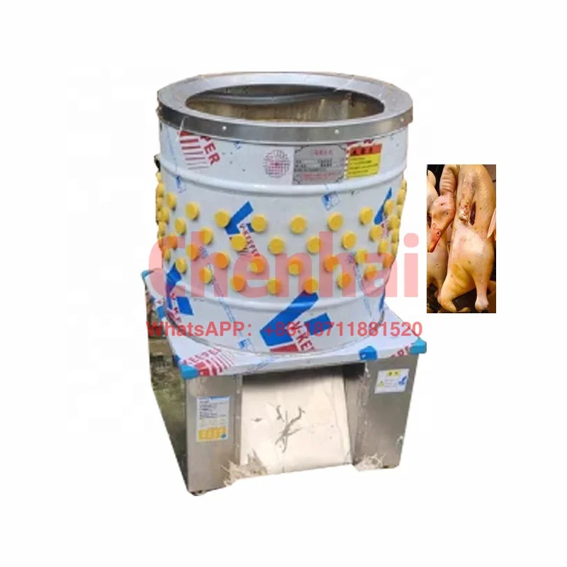 

Most Popular Machine Size 60*60*95cm Plucker Of Duck Chicken Goose Quail