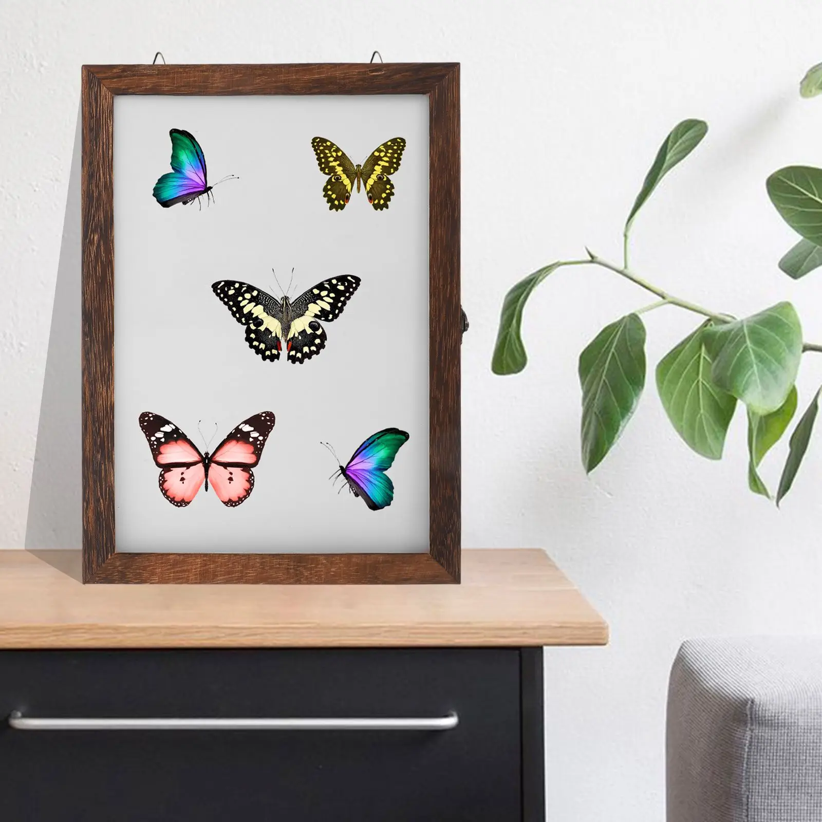 

Retro Insect Display Box 32x23x4.5cm Wood Specimen Case Vintage Butterfly Storage Dry Flower Dustproof Wall Hang Jewelry Coin